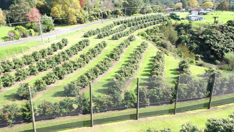 14 Merrick Road Pyes Pa_20