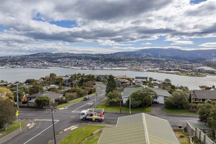 65 Dunrobin Street Waverley_21