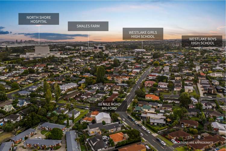 88 Nile Road Milford_18