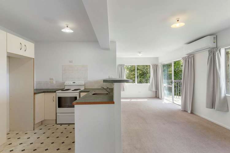 11 Mirage Place Beach Haven_12