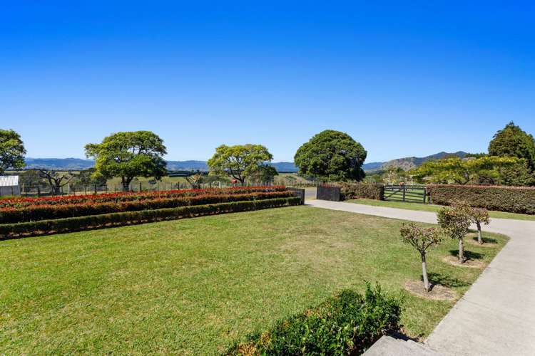 494 Paerata Ridge Road Opotiki and Surrounds_27