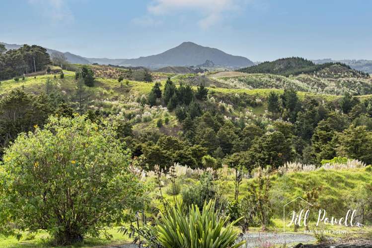 611 Bickerstaffe Road Maungaturoto_2