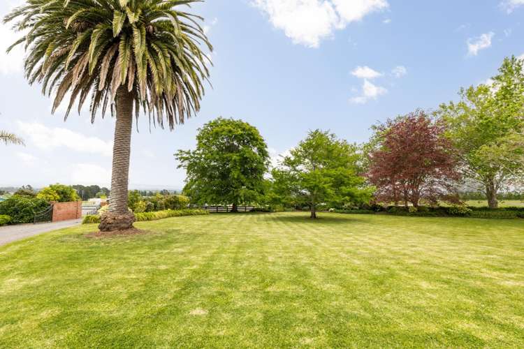 563 Tuki Tuki Road Tuki Tuki_24