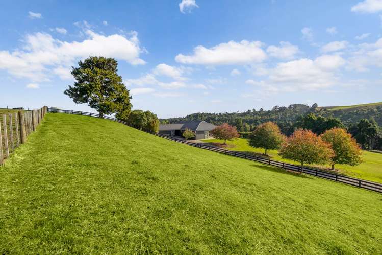 161B Mokoroa Valley Road Waitakere_29