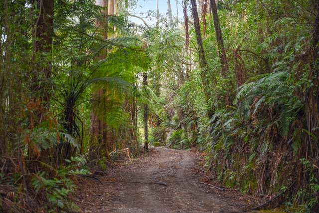 251 State Highway 30 Tikitere_4