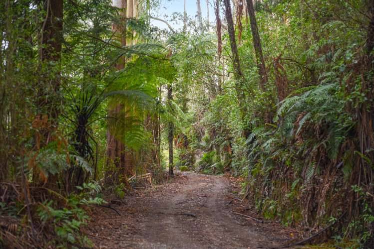 251 State Highway 30 Tikitere_4