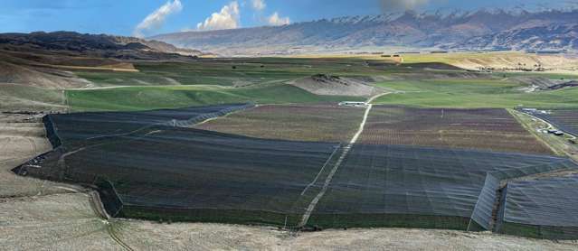 159 Thomson Gorge Road Cromwell_1