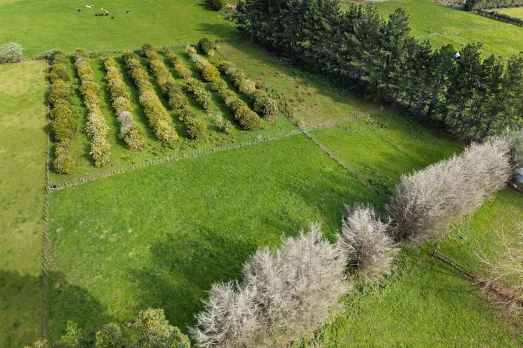 87 Pukeoware Road Glenbrook_26