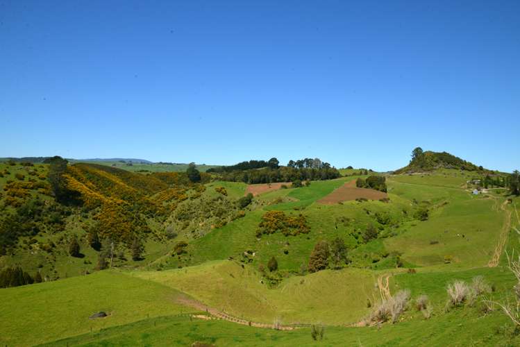 877 Puketawai Road Otorohanga_6