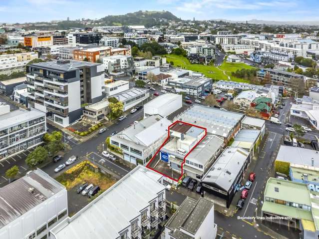 35 Randolph Street Eden Terrace_1