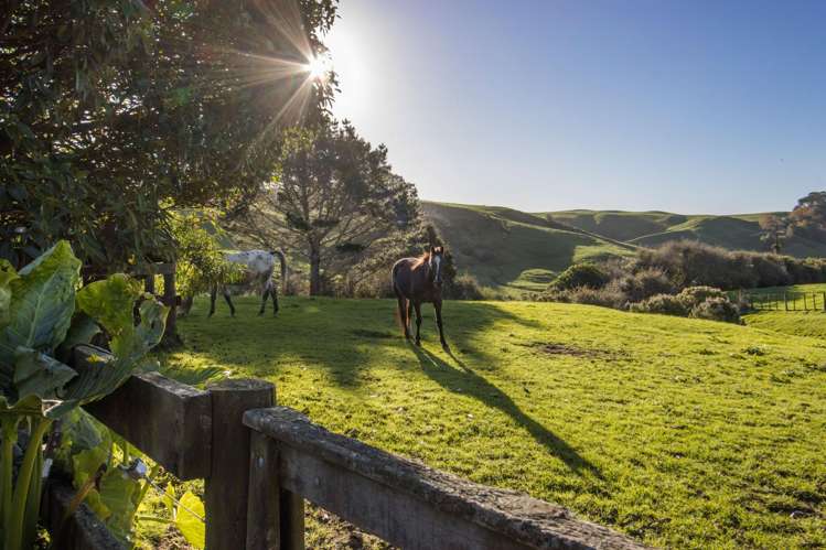 217 Golden Valley Road Waihi_30