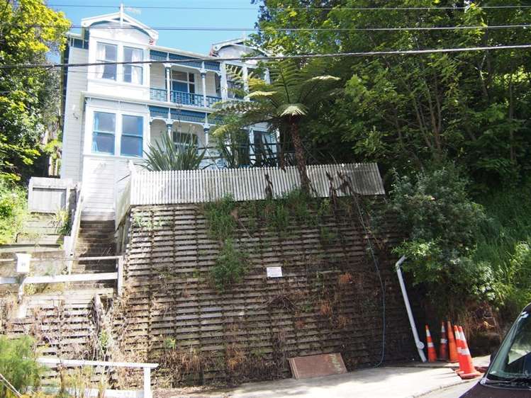 29 Devon Street Aro Valley_15