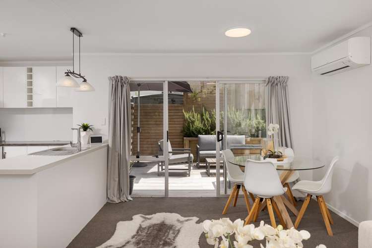 50b Westwood Street Bellevue_6