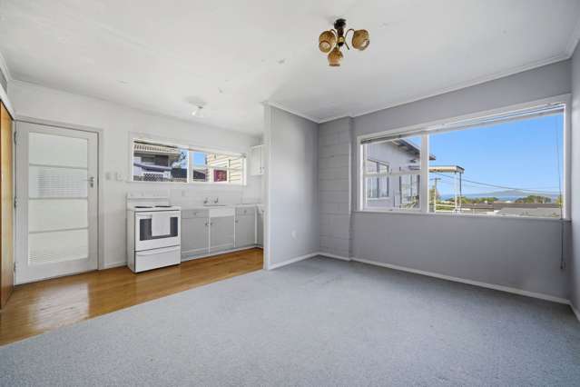 1/2 Rewi Street Torbay_4