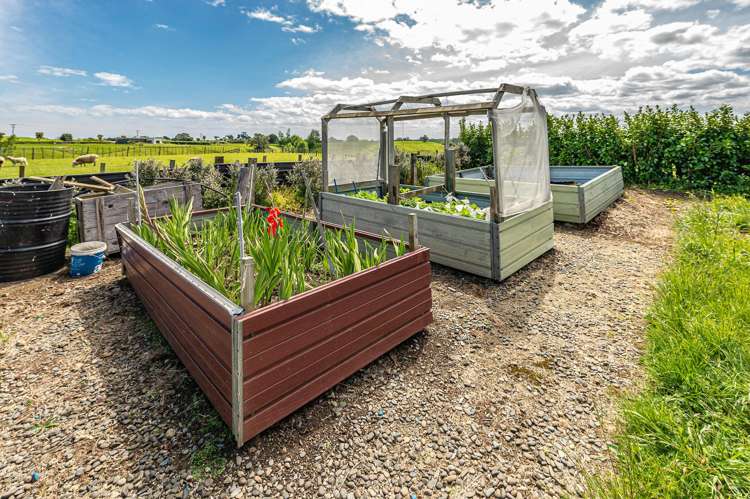 62A Mission Road Westmere_29