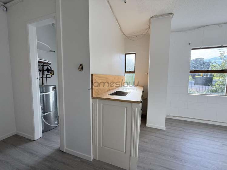 1A Roberta Avenue Glendowie_13