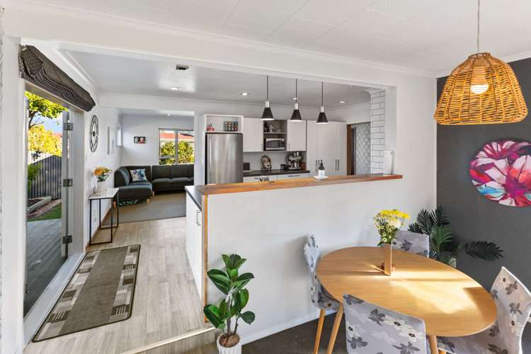 50 Haydon Street Roslyn_6