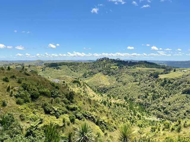 103 Dill Road Kaipara Flats_1