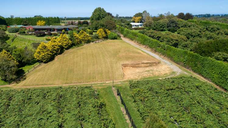 215 Ongare Point Road Tahawai_8