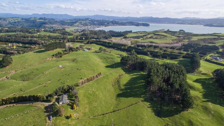 282 Lees Road Hahei_8