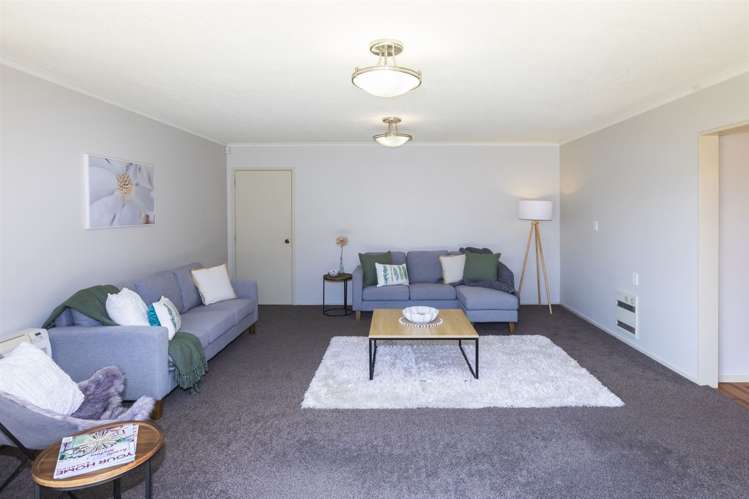 65 Lowry Avenue Redwood_6