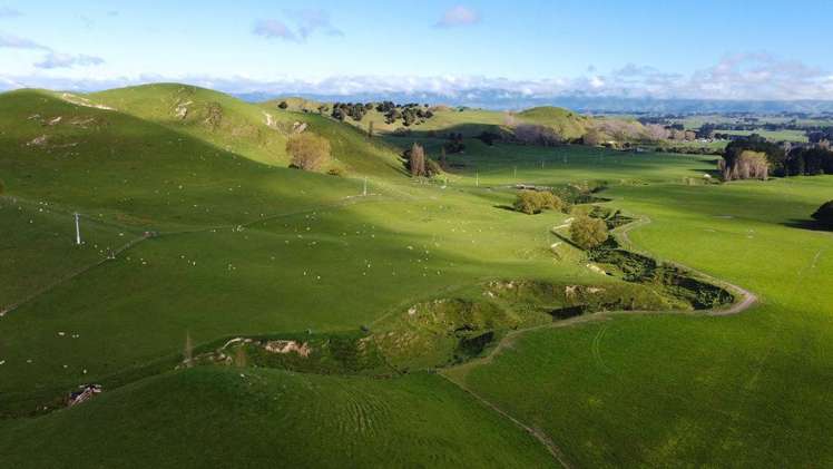 30 Mangahei Road Dannevirke_5