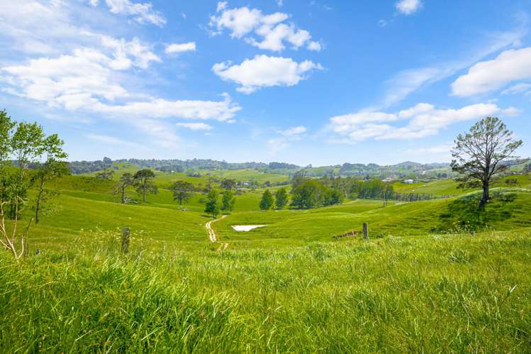 515 Kahikatea Flat Road Waitoki_10