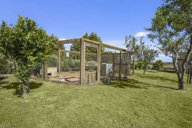 181 Mangatoi Road Oropi_16