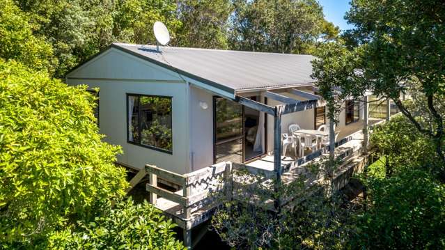 325 Onemana Drive Onemana_4