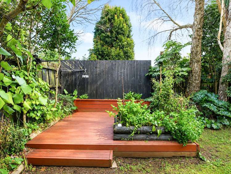 24 Myrtle Street Hamilton East_37