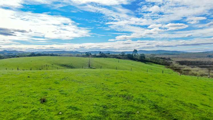 407 Island Block Road Te Kauwhata_2