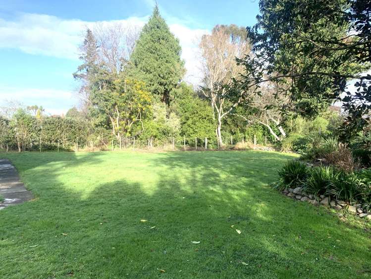 B/53 College Street Masterton_9