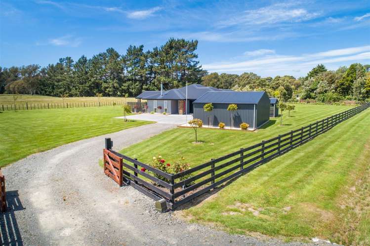 146 Hendersons Line Marton_7