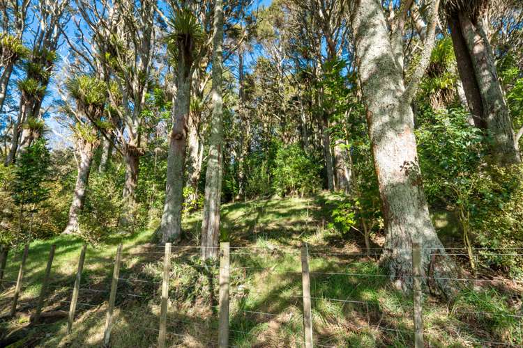 34 Dalkeith Drive Kauri_3