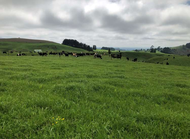 2364 Arapuni Road Pukeatua_13