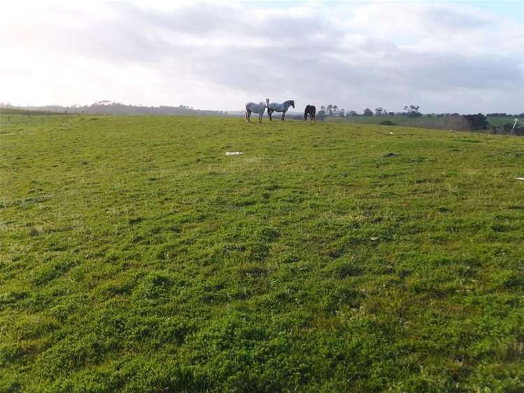 124 Parore West Road Dargaville_5