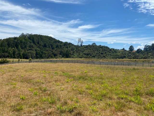 Lot 1/246d Blackbridge Road Dairy Flat_4