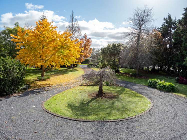 3 Limelight Lane Kerikeri_15