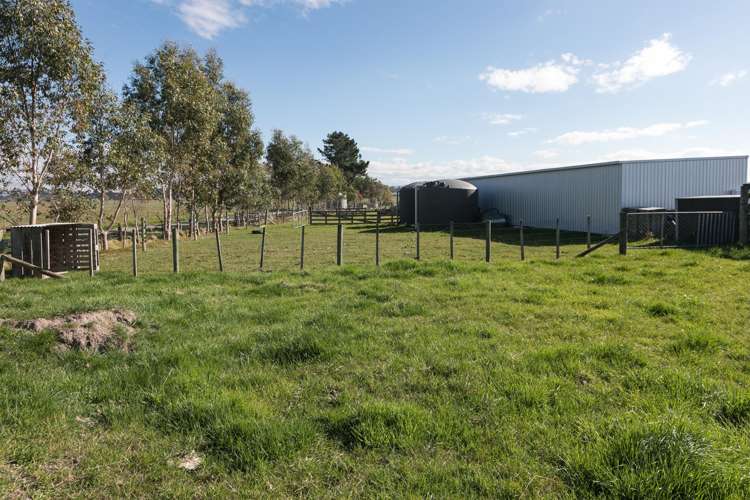 94 Farm Road Waipukurau_17