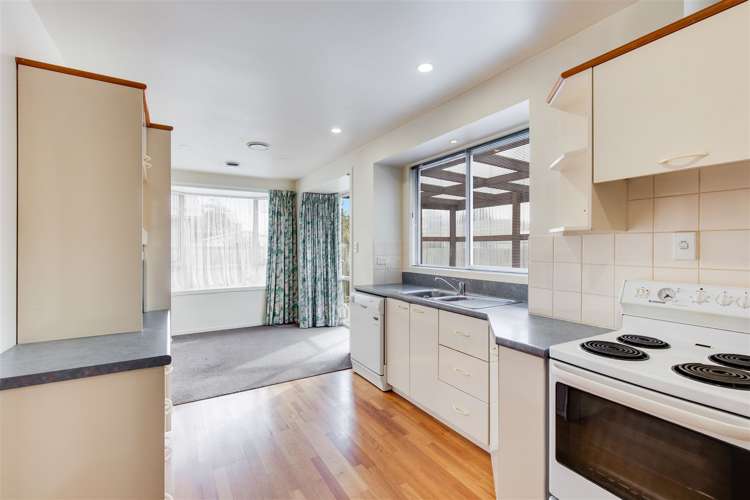 33 Rowley Avenue Hoon Hay_4