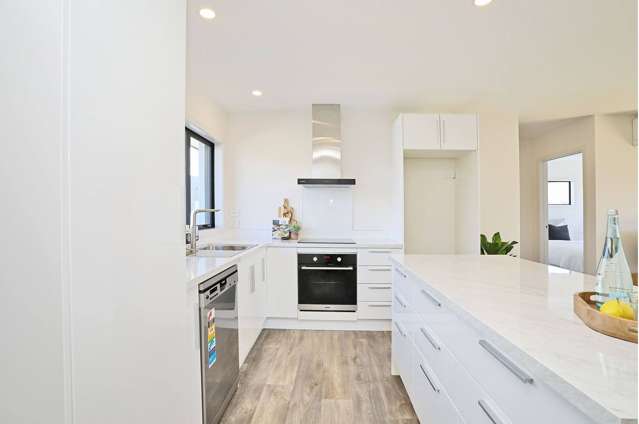 29 Nelson Street Georgetown_4