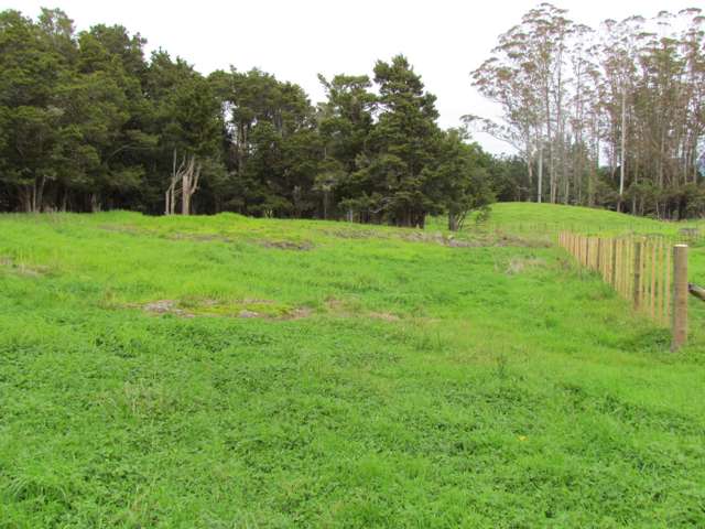 Carruth Road Poroti_4