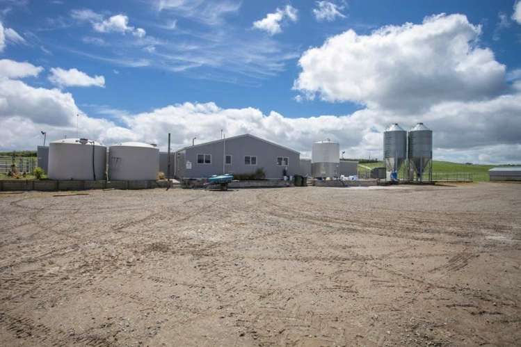 1308 Mossop Road Kinleith_9