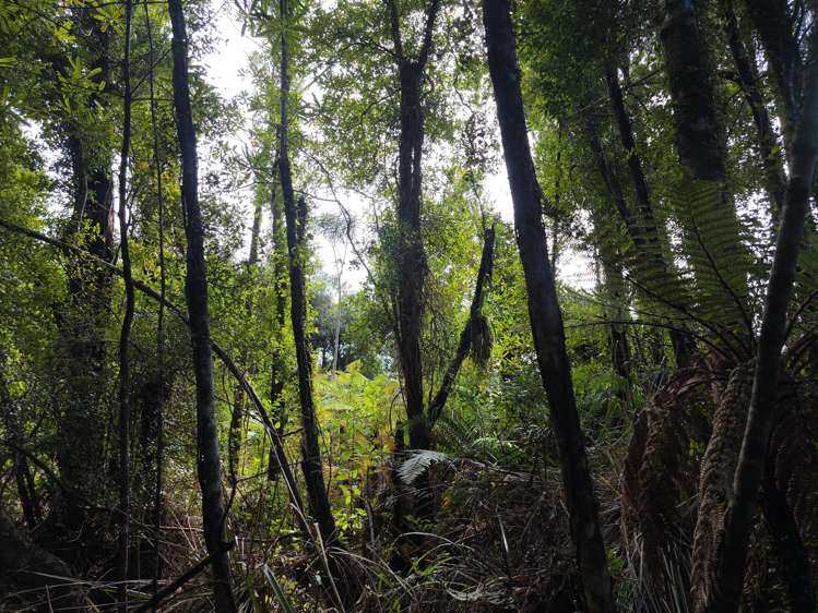 Ballarat Rise Awatuna_7