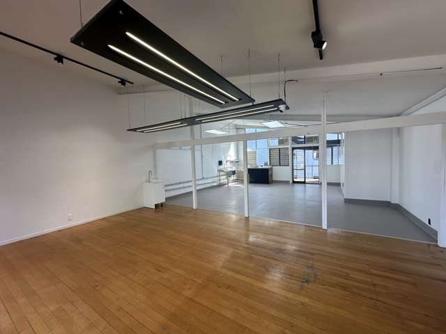 23 Williamson Avenue Grey Lynn_2