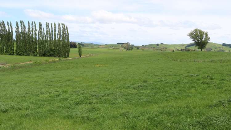 419 Te Kawa Road Te Kawa_16