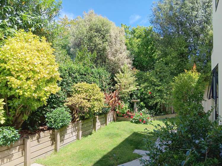 135A Lake Crescent Hamilton Lake_14