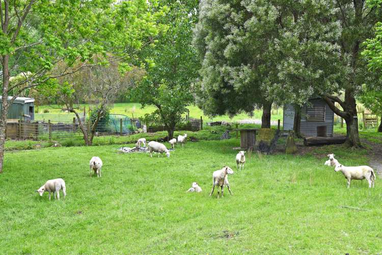 48a Norana Road Timberlea_18