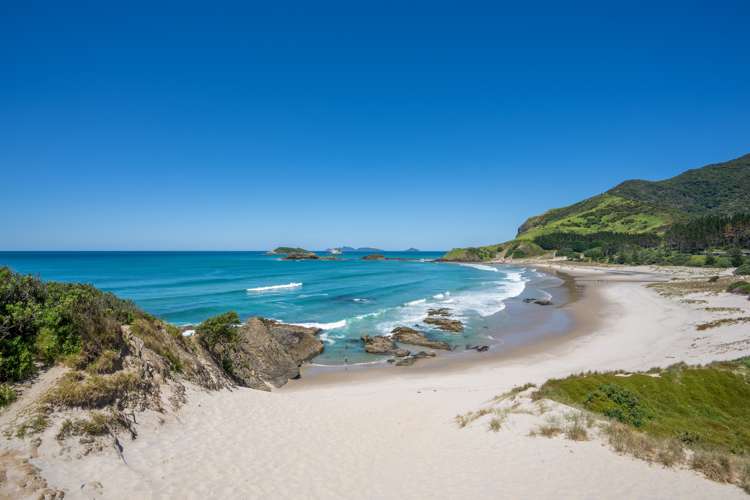 342 Ocean Beach Road Whangarei Heads_31