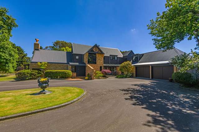 "Hiwi-Tea" - Special Sanctuary